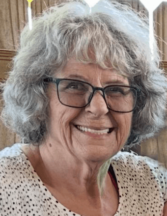 Paula Sue (Drossart) Lane Obituary